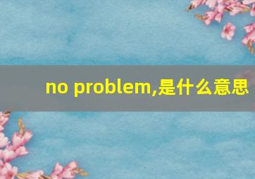 no problem,是什么意思